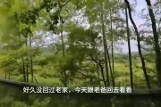 shanji发布vlog：情绪只能自己消化 打职业让家人过上更好的生活